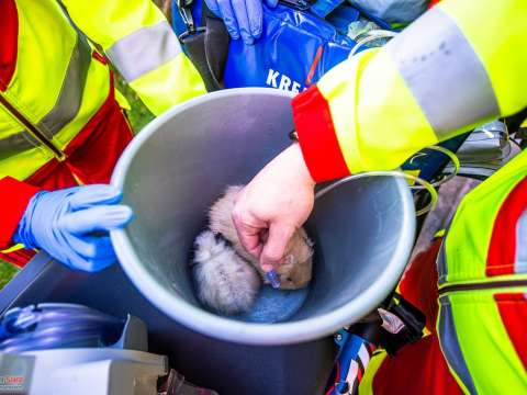 Einsatzdokumentation Feuerwehr Soest